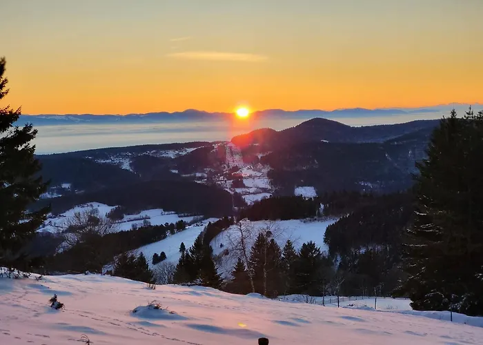 Une Petite Vue Sur Le Paradis