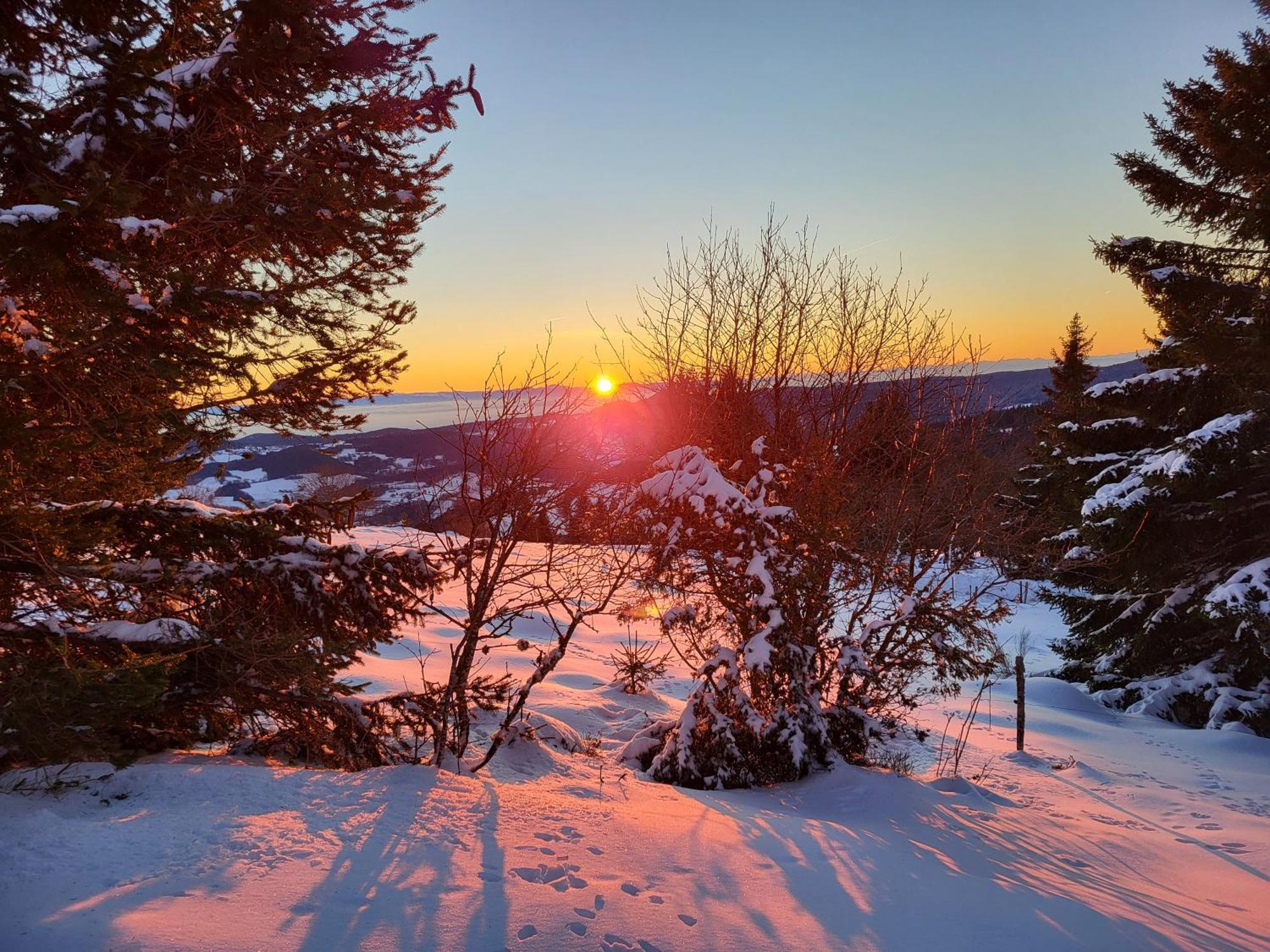 Petite Vue Sur Le Paradis Orbey